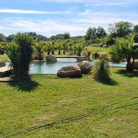 Le Mas Des Cerisiers Jacuzzi Et Sauna Inclus Pour Tous Les Logements Avignon Eksteriør bilde
