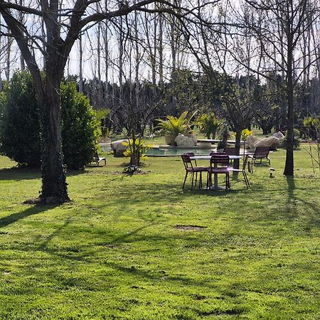 Le Mas Des Cerisiers Jacuzzi Et Sauna Inclus Pour Tous Les Logements Avignon Eksteriør bilde