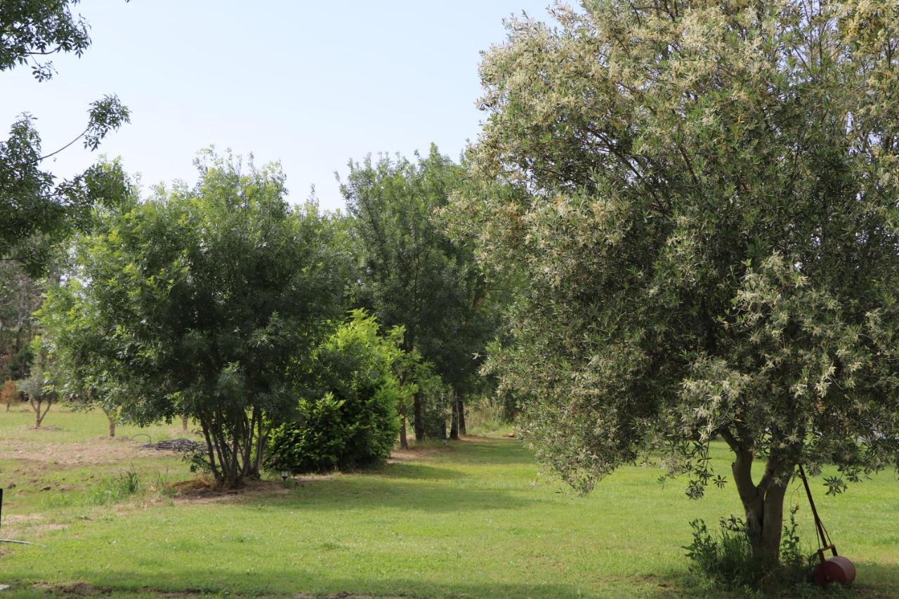 Mas Des Cerisiers Spa-Sauna Inclus Pour Tous Les Logements Avignon Eksteriør bilde