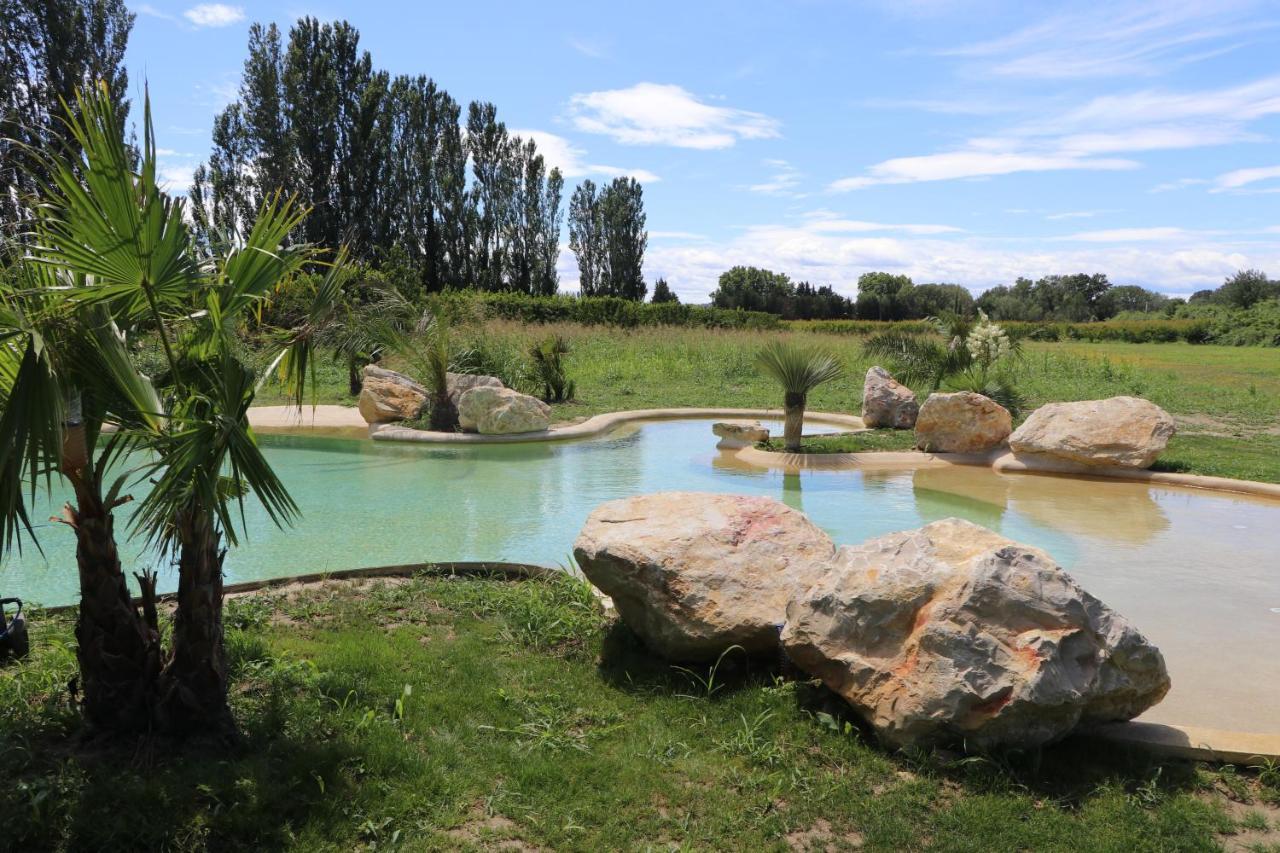 Le Mas Des Cerisiers Jacuzzi Et Sauna Inclus Pour Tous Les Logements Avignon Eksteriør bilde