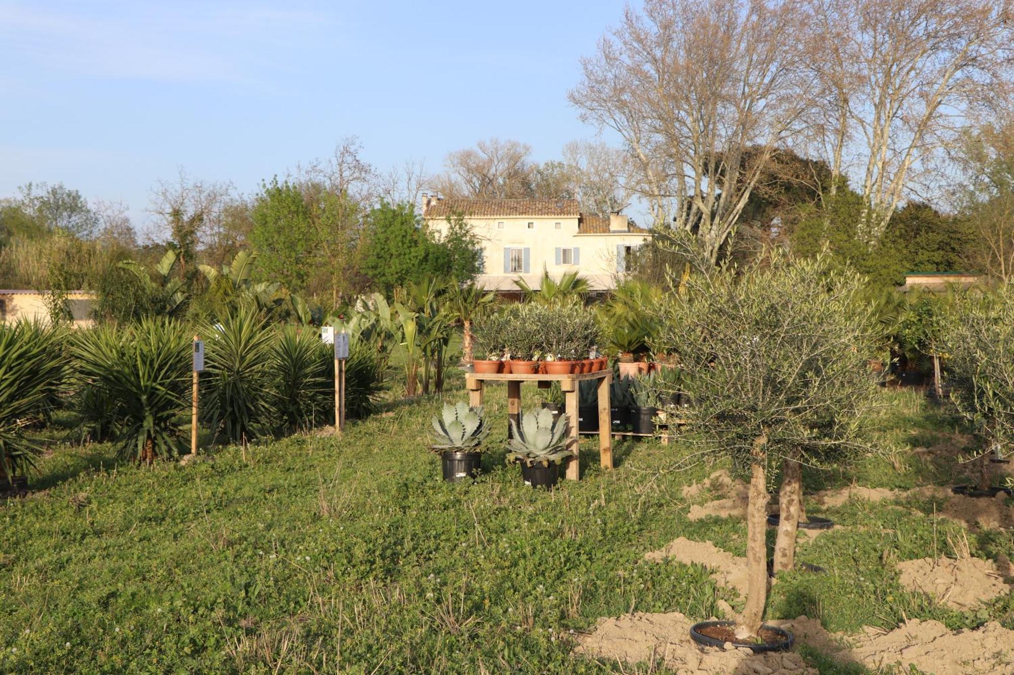 Mas Des Cerisiers Spa-Sauna Inclus Pour Tous Les Logements Avignon Eksteriør bilde