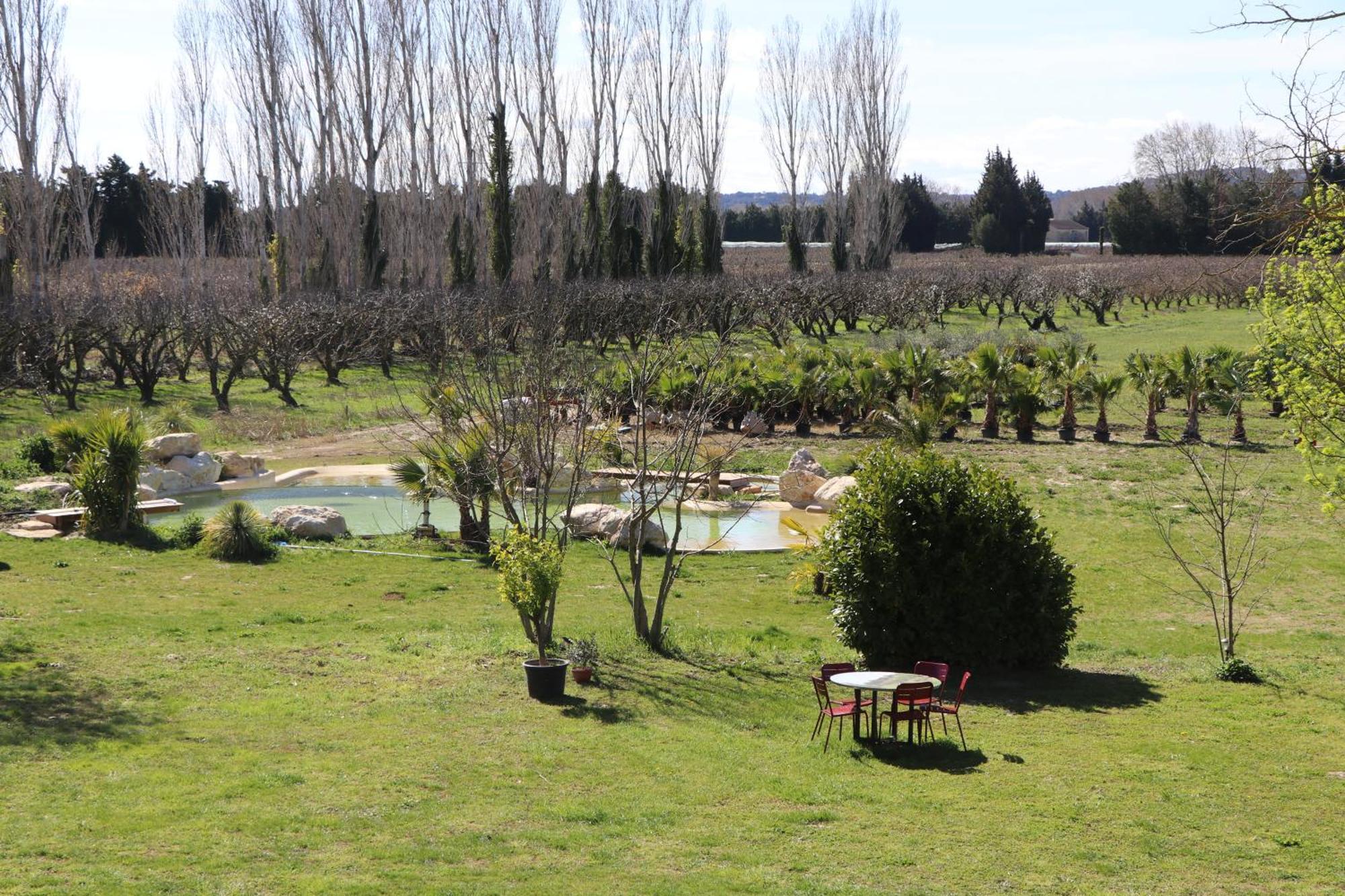 Le Mas Des Cerisiers Jacuzzi Et Sauna Inclus Pour Tous Les Logements Avignon Eksteriør bilde