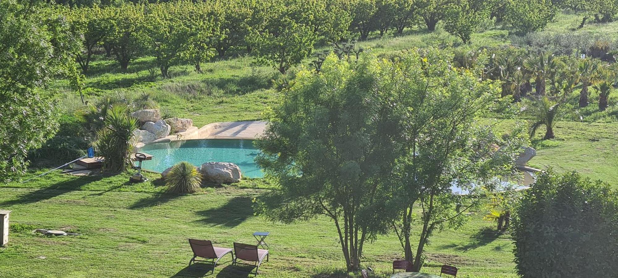 Le Mas Des Cerisiers Jacuzzi Et Sauna Inclus Pour Tous Les Logements Avignon Eksteriør bilde