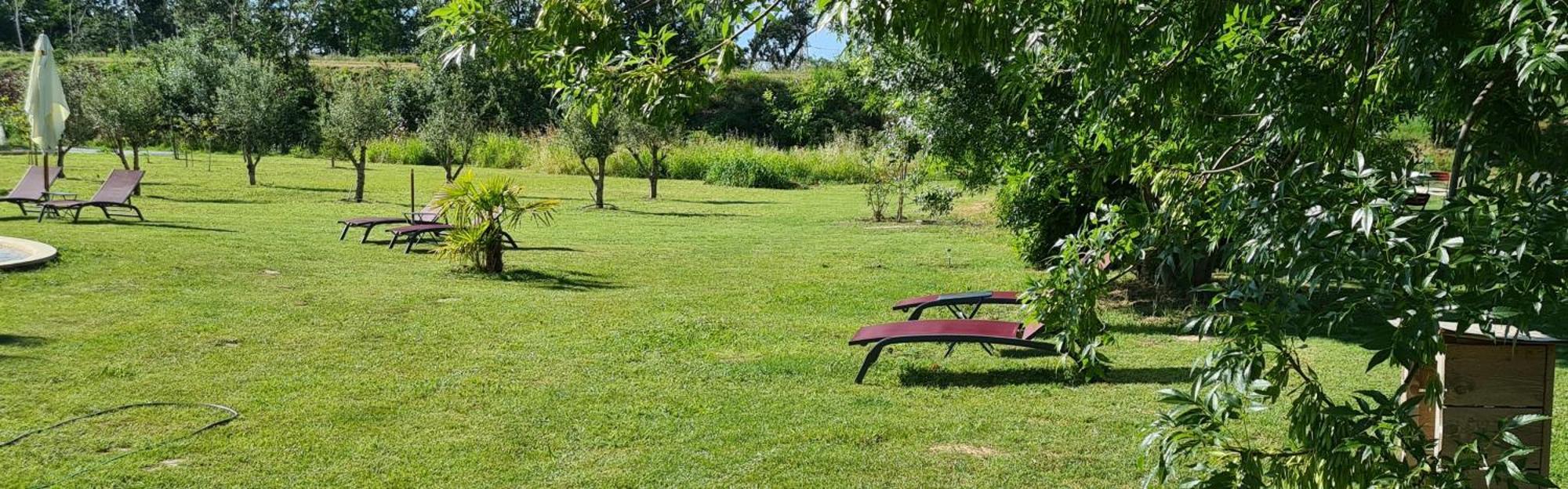 Le Mas Des Cerisiers Jacuzzi Et Sauna Inclus Pour Tous Les Logements Avignon Eksteriør bilde
