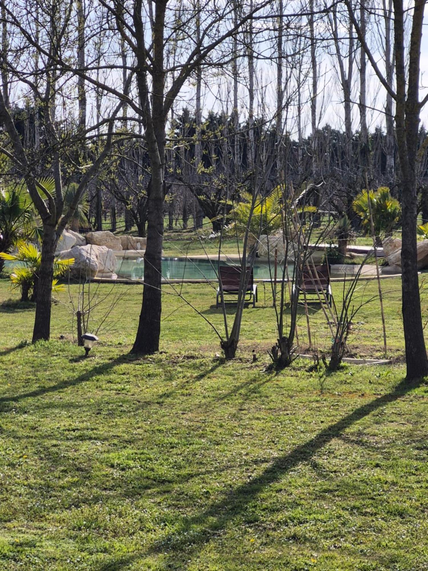 Le Mas Des Cerisiers Jacuzzi Et Sauna Inclus Pour Tous Les Logements Avignon Eksteriør bilde